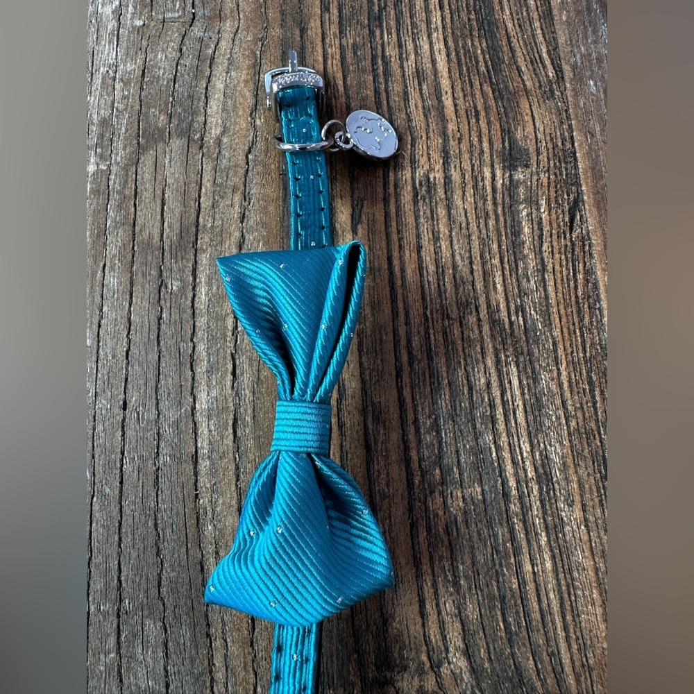 Elegant Teal Dog Collar with Bow - Picture 3 of 5